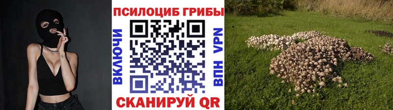 Псилоцибиновые грибы Psilocybe  Купить  Красавино 