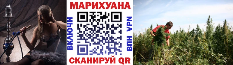 Конопля OG Kush Красавино